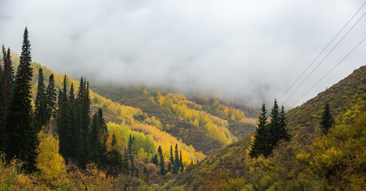 Осень в казахстане