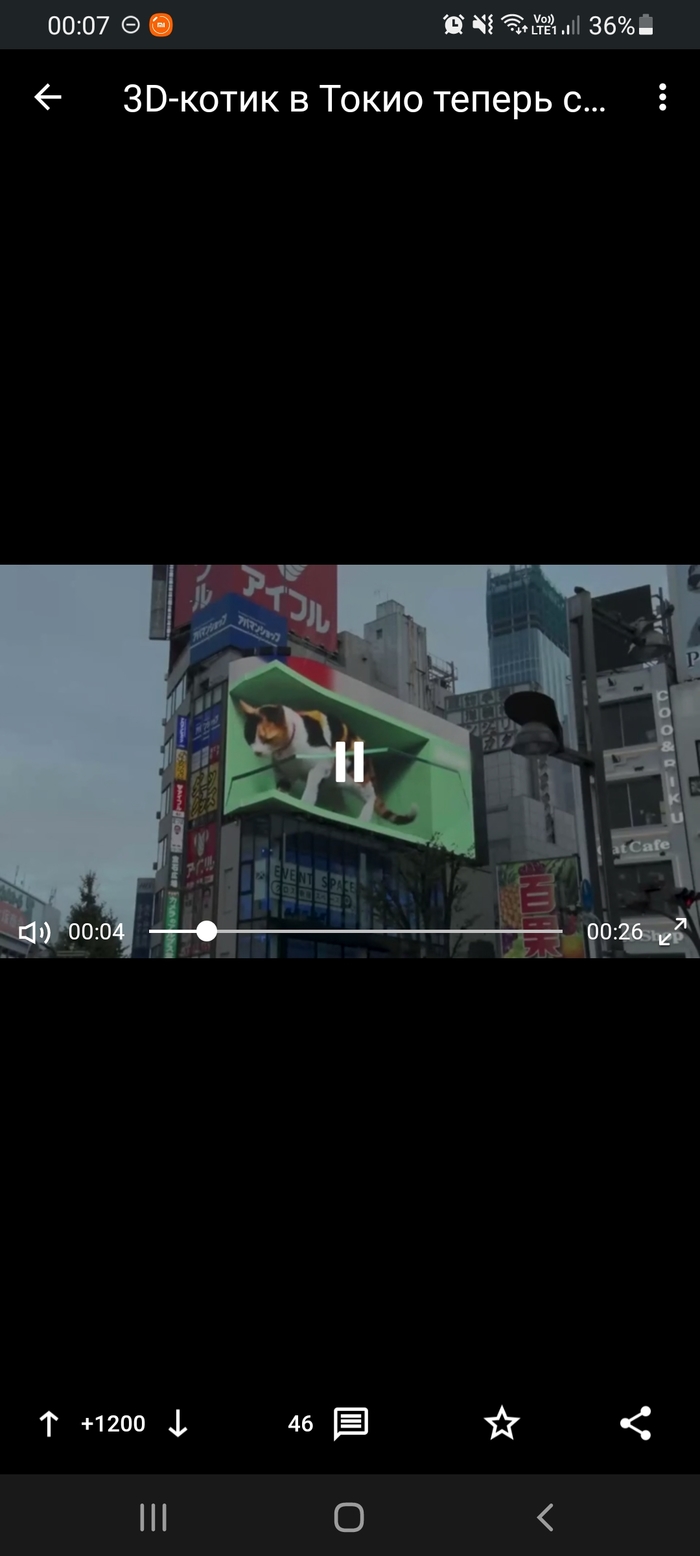 5 ������ �����