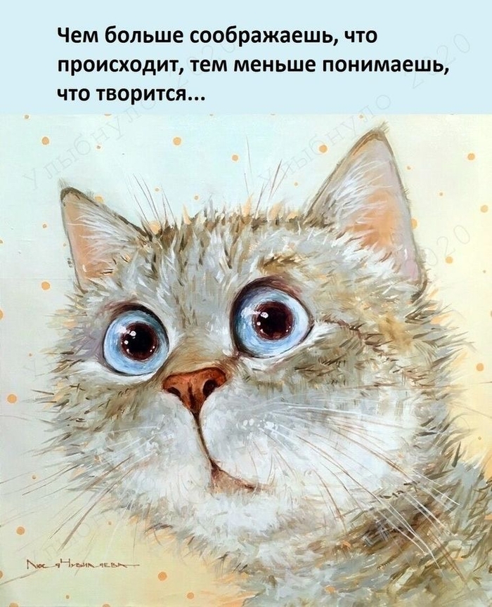      ! ,   , 