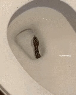   , , , 