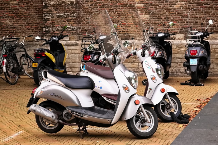 На улицах Делфта