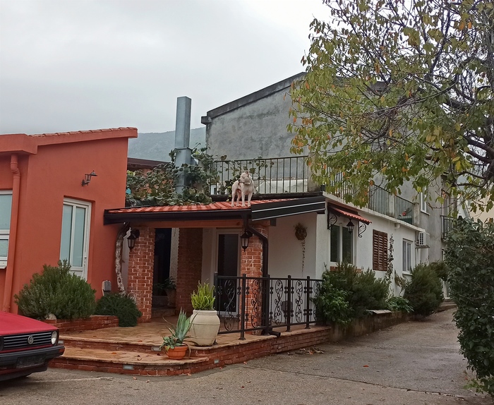 ���������� ���