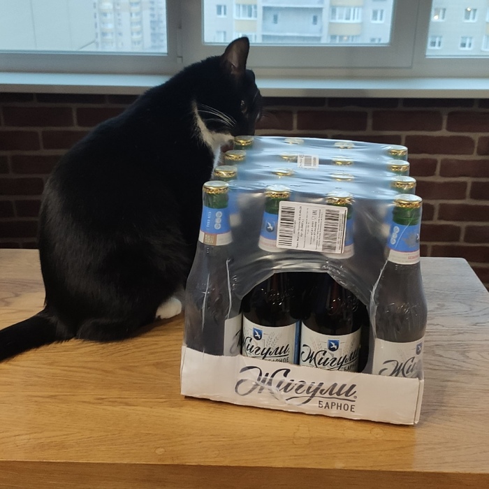 ���� ��������������� ��������