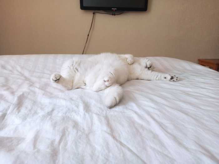 Утро без забот