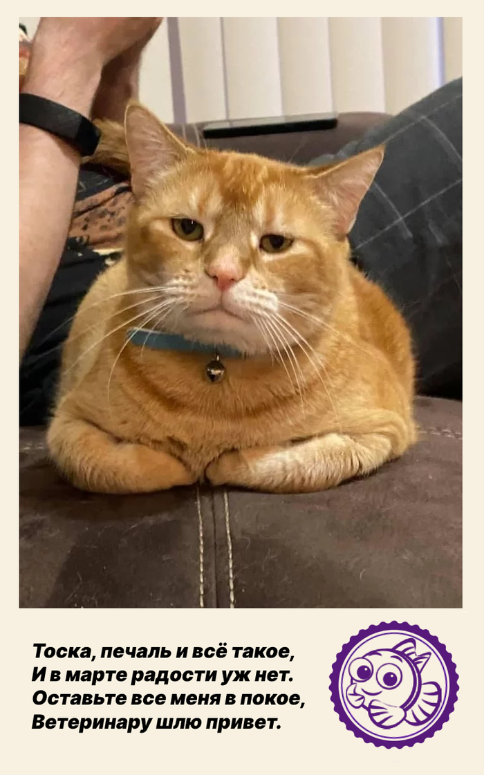 ����� �� ���� �׸� ��������������