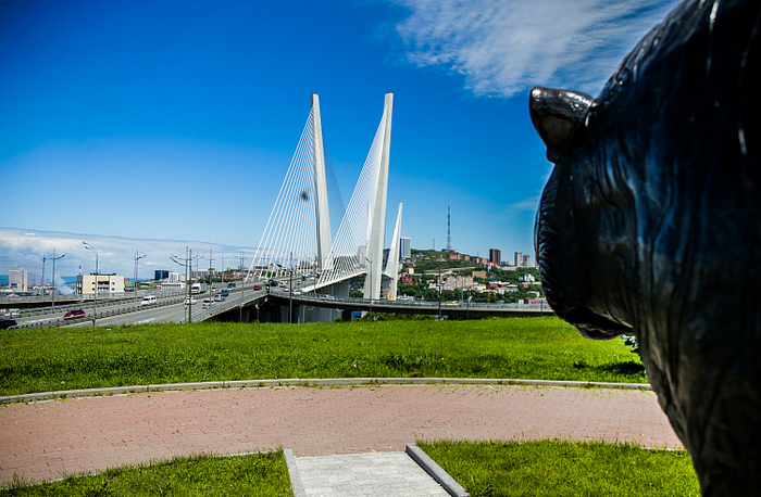 Девелопер: «При строительстве Спутника можно предотвратить ошибки, допущенные во Владивостоке»