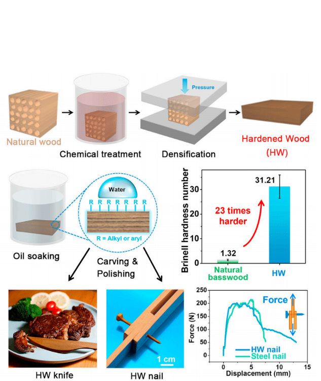 Супернож из дерева, как рождается бред про дерево в 23 раза твёрже стали