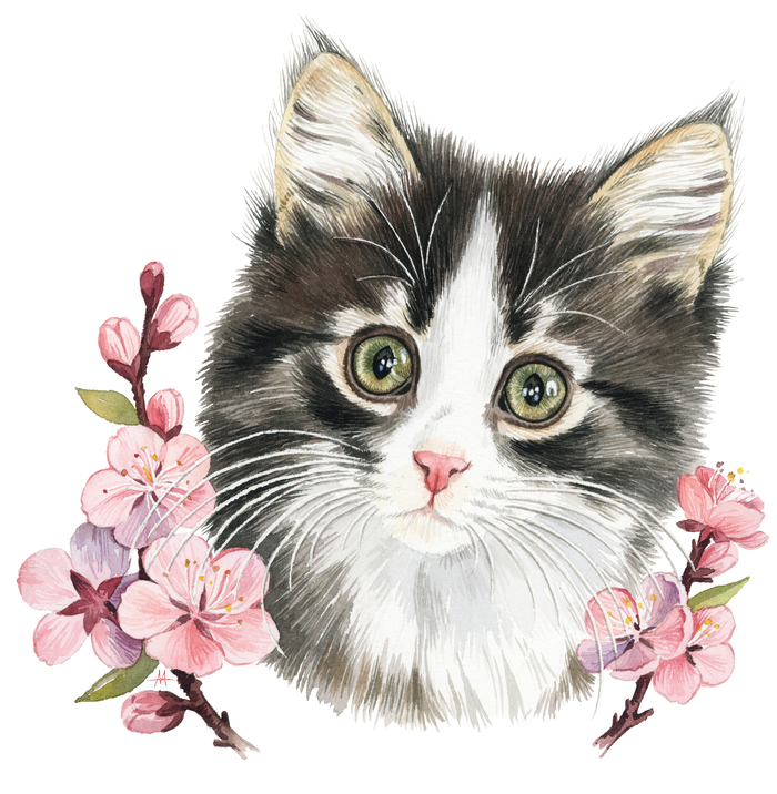 можно ли кормить кошку крабовыми палочками