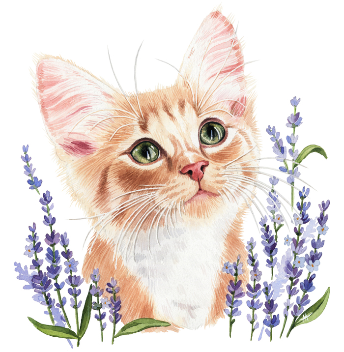 можно ли кормить кошку крабовыми палочками
