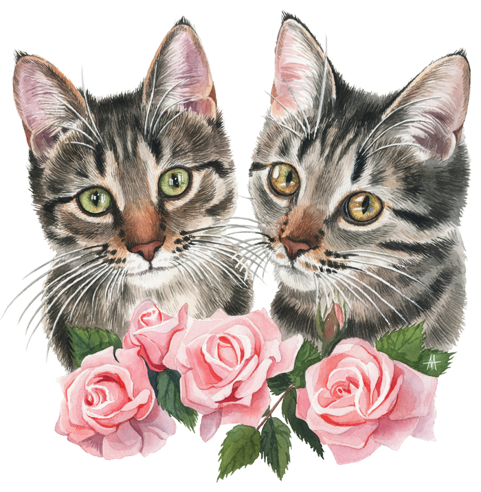 можно ли кормить кошку крабовыми палочками