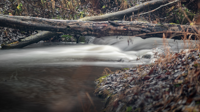 ... , ,  , Nikon d750, 