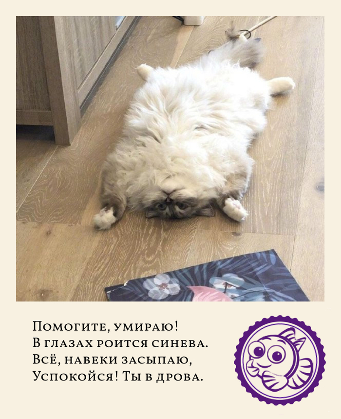 ����� �� ���� ��������� ������ �� ���������� ����������