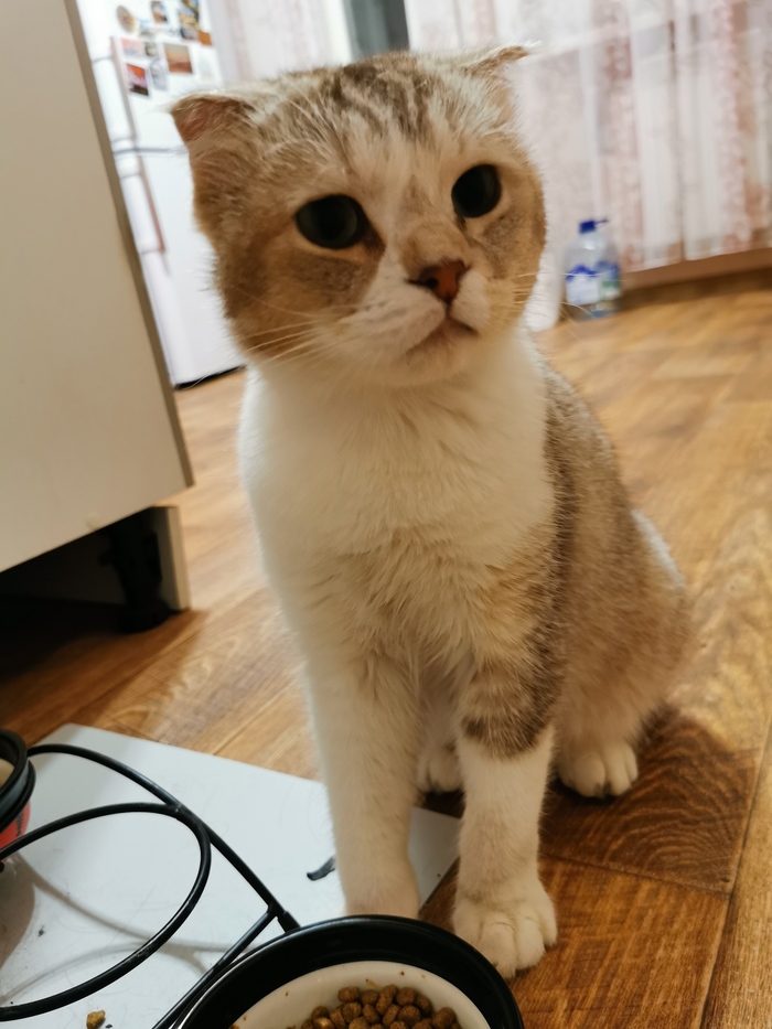 1636484418167027490 Шараж монтаж что это