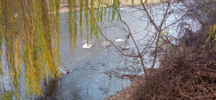 Картинки уже...