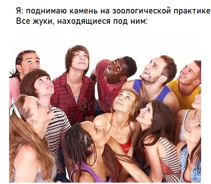 что такое развитие с метаморфозом. Смотреть фото что такое развитие с метаморфозом. Смотреть картинку что такое развитие с метаморфозом. Картинка про что такое развитие с метаморфозом. Фото что такое развитие с метаморфозом