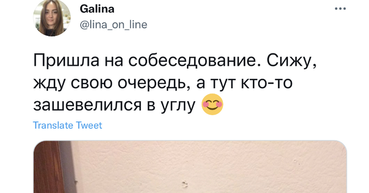 Это был интервьюер | Пикабу