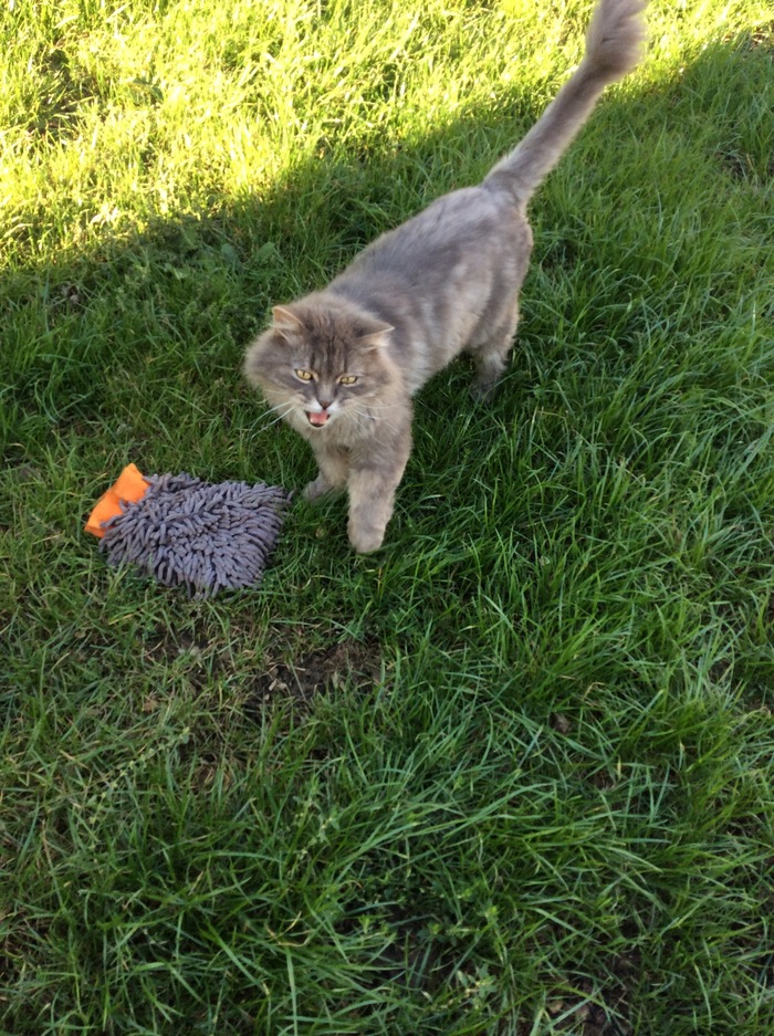 Когда уходит детство?