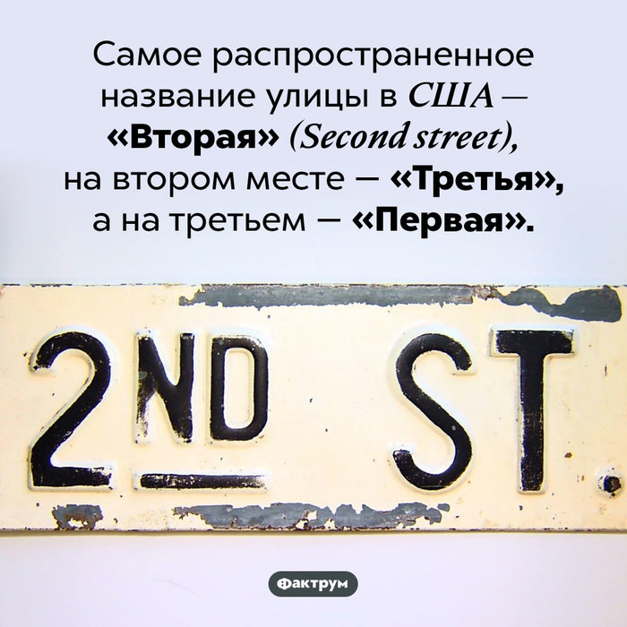 что значит выражение лизнуть тунца. Смотреть фото что значит выражение лизнуть тунца. Смотреть картинку что значит выражение лизнуть тунца. Картинка про что значит выражение лизнуть тунца. Фото что значит выражение лизнуть тунца