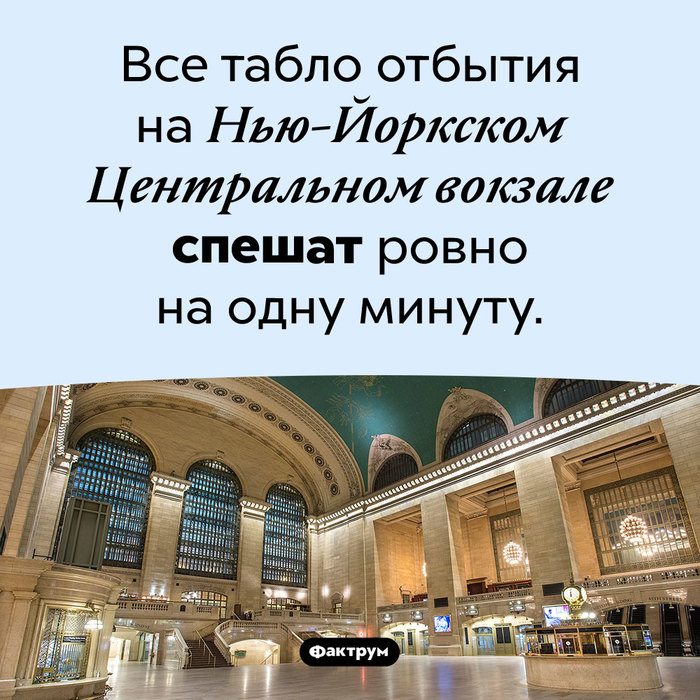 что значит выражение лизнуть тунца. Смотреть фото что значит выражение лизнуть тунца. Смотреть картинку что значит выражение лизнуть тунца. Картинка про что значит выражение лизнуть тунца. Фото что значит выражение лизнуть тунца