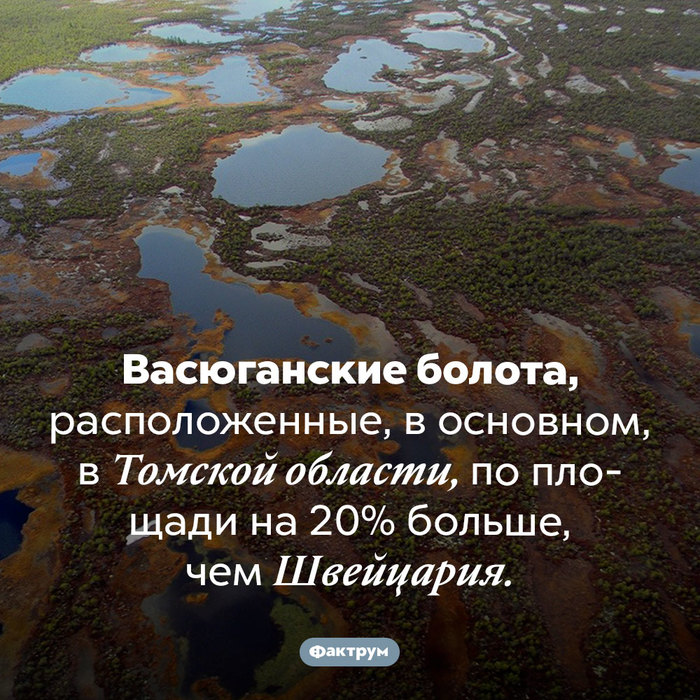 что значит выражение лизнуть тунца. Смотреть фото что значит выражение лизнуть тунца. Смотреть картинку что значит выражение лизнуть тунца. Картинка про что значит выражение лизнуть тунца. Фото что значит выражение лизнуть тунца