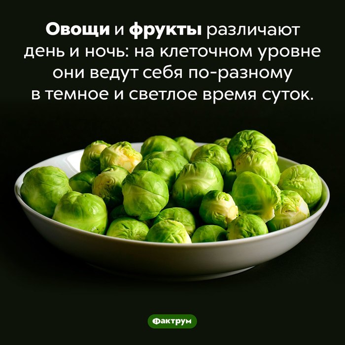 что значит выражение лизнуть тунца. Смотреть фото что значит выражение лизнуть тунца. Смотреть картинку что значит выражение лизнуть тунца. Картинка про что значит выражение лизнуть тунца. Фото что значит выражение лизнуть тунца