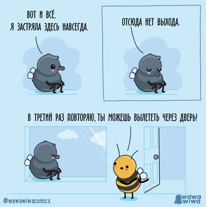 Муха-пессимистка