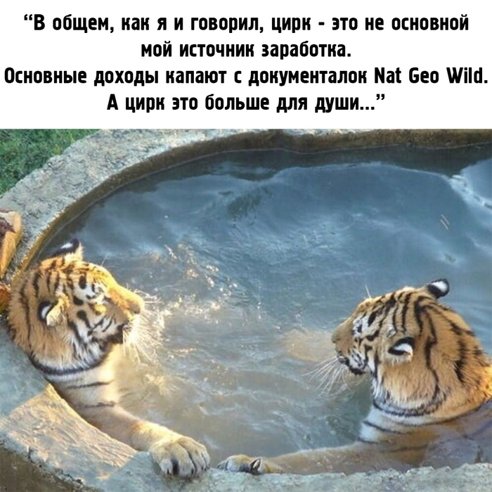 когда что то коснулось тебя под водой. Смотреть фото когда что то коснулось тебя под водой. Смотреть картинку когда что то коснулось тебя под водой. Картинка про когда что то коснулось тебя под водой. Фото когда что то коснулось тебя под водой