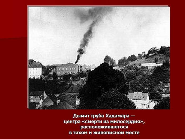 Кто такой бразильский мальчик. Смотреть фото Кто такой бразильский мальчик. Смотреть картинку Кто такой бразильский мальчик. Картинка про Кто такой бразильский мальчик. Фото Кто такой бразильский мальчик