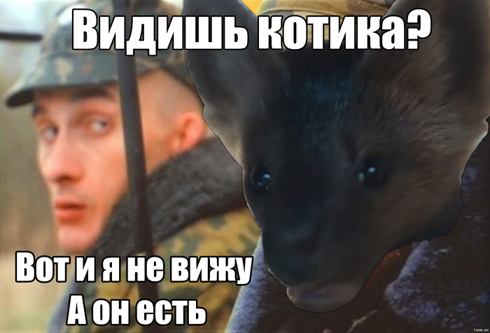 идеально крысиные отношения мем