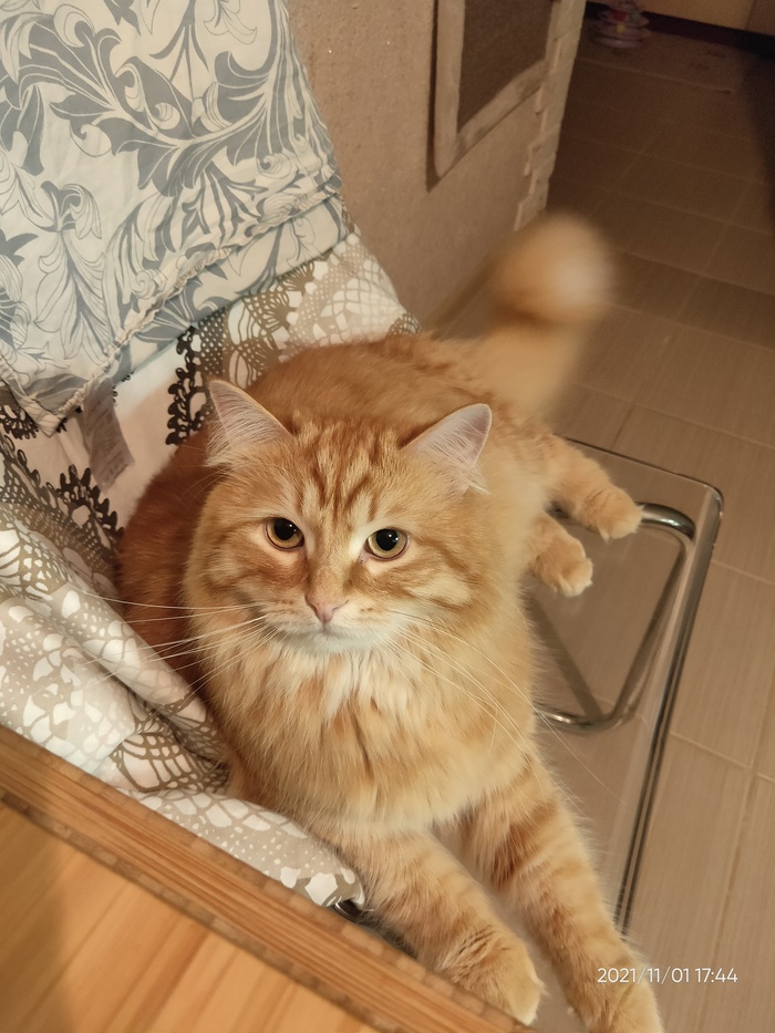 ����� �� ���� ������� �� ������� ��������� ��� ������ ��������?�