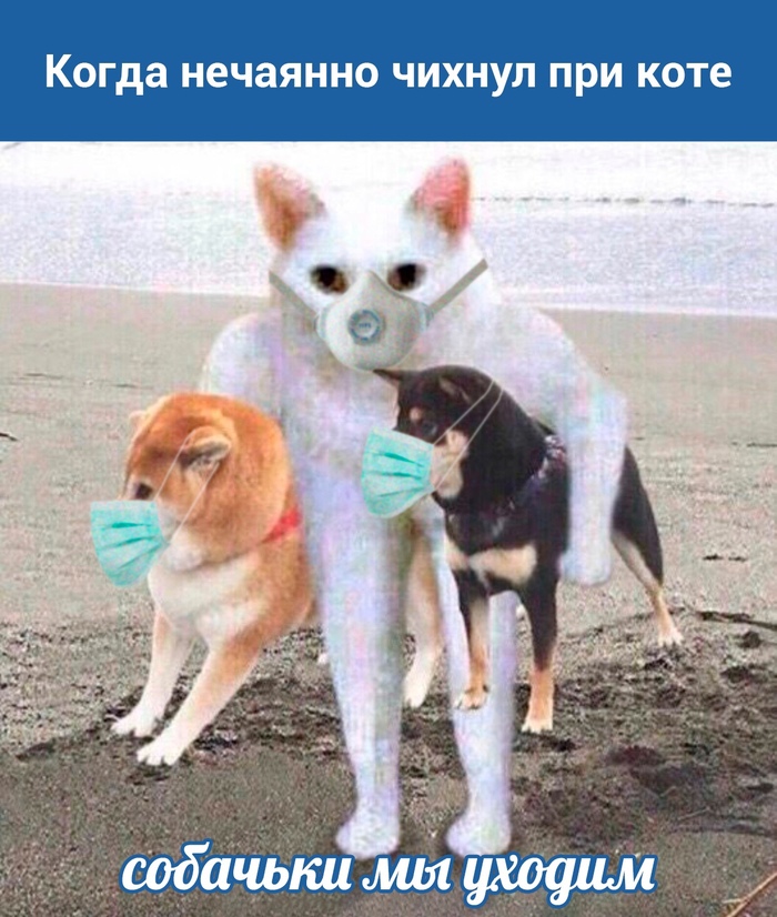 Что сегодня делала кошка. Смотреть фото Что сегодня делала кошка. Смотреть картинку Что сегодня делала кошка. Картинка про Что сегодня делала кошка. Фото Что сегодня делала кошка