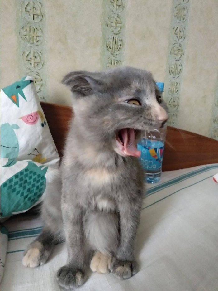 �����������!!!!111 ���-���, ���-���