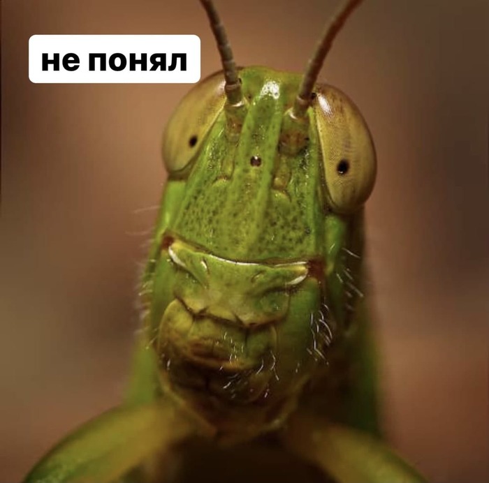      , , , , 