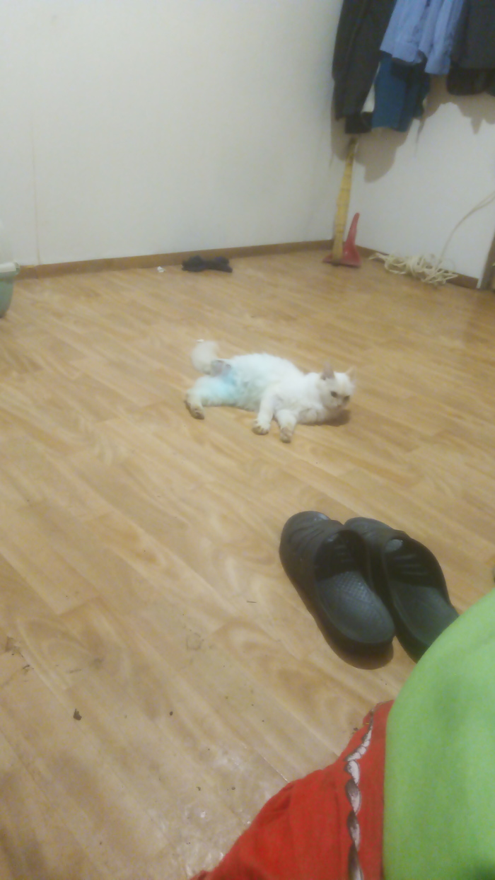 Дай, думаю, скажу что-нибудь