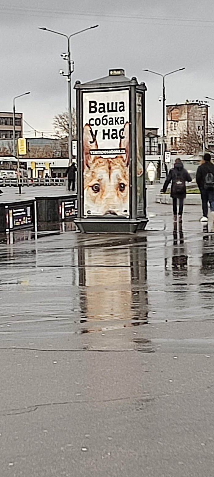   ? , ,  , , 