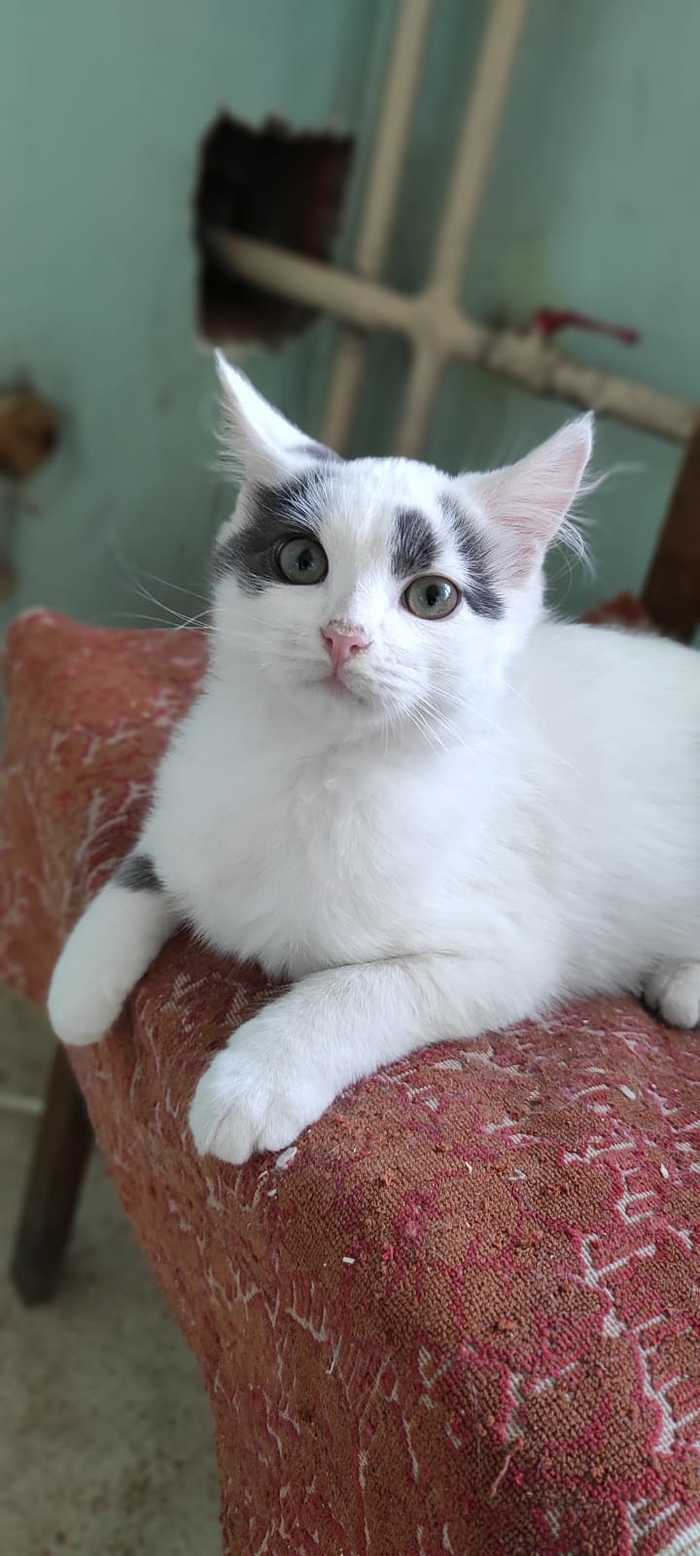 !  ? , ,  ,   , , , ,  