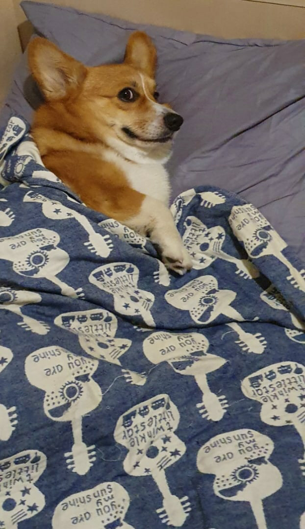 Это я в 6 утра еще не ложившись смотрю на отца, который пришел меня будить)))