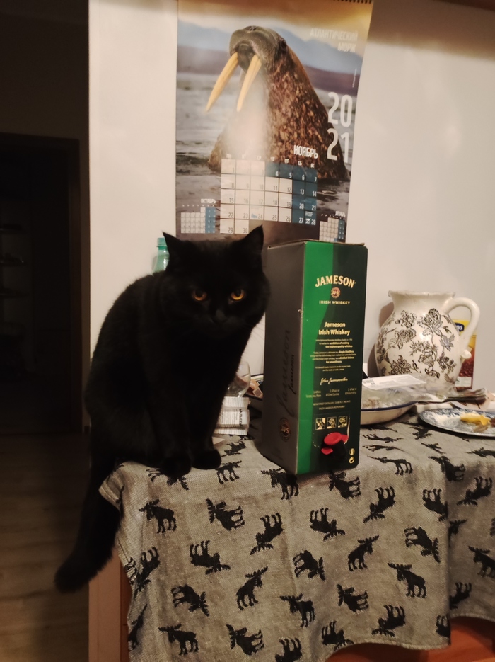 Плесни чуть-чуть, а?