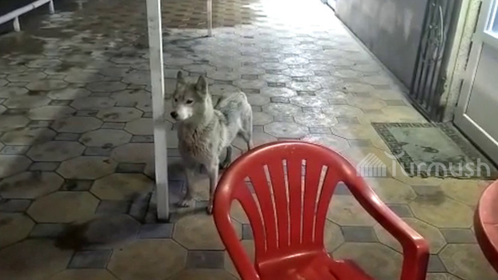 ������ ������ � ���� � ���� ��������. ��� ������ �� �����