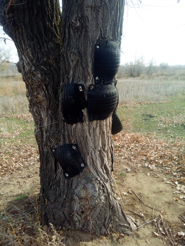 рыба че за хрень. Смотреть фото рыба че за хрень. Смотреть картинку рыба че за хрень. Картинка про рыба че за хрень. Фото рыба че за хрень рыба че за хрень. Смотреть фото рыба че за хрень. Смотреть картинку рыба че за хрень. Картинка про рыба че за хрень. Фото рыба че за хрень