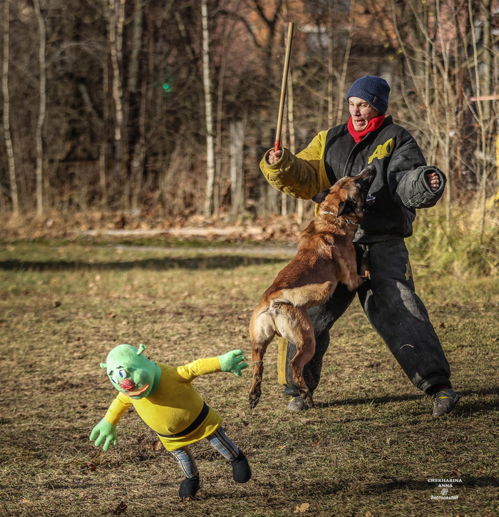 ��� ���� �� �������� ������