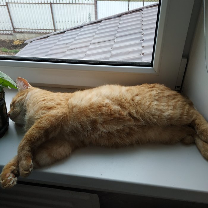 ��� �����