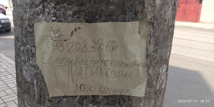 Пропал кошка)