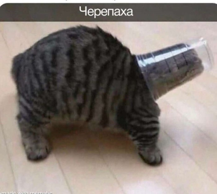 тащи меня большая черепаха. 1637014482135783290. тащи меня большая черепаха фото. тащи меня большая черепаха-1637014482135783290. картинка тащи меня большая черепаха. картинка 1637014482135783290. "Союзмультфильм" совместно с брендом Biblioteka Aromatov подготовил к 85-летию киностудии интересную линейку парфюма. Она должна погрузить покупателей в "атмосферу любимого мультфильма".