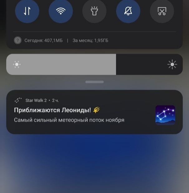 Берегись Леонидов!