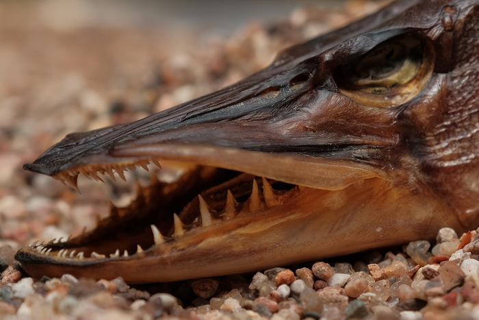 ������ � ������� ��� ������