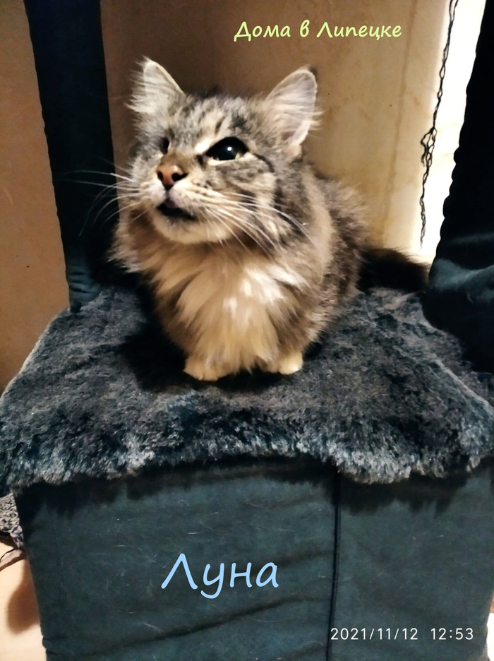 мозг зачем надо мем. Смотреть фото мозг зачем надо мем. Смотреть картинку мозг зачем надо мем. Картинка про мозг зачем надо мем. Фото мозг зачем надо мем