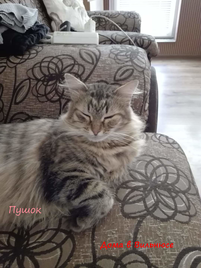 мозг зачем надо мем. Смотреть фото мозг зачем надо мем. Смотреть картинку мозг зачем надо мем. Картинка про мозг зачем надо мем. Фото мозг зачем надо мем