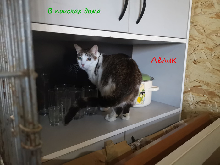 мозг зачем надо мем. Смотреть фото мозг зачем надо мем. Смотреть картинку мозг зачем надо мем. Картинка про мозг зачем надо мем. Фото мозг зачем надо мем
