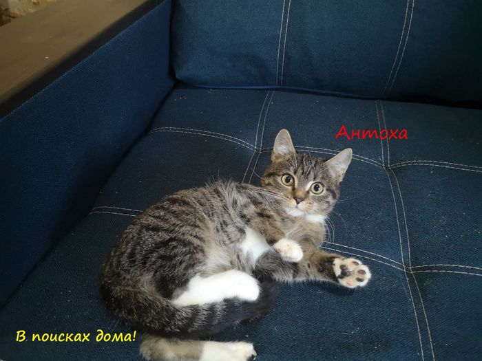 мозг зачем надо мем. Смотреть фото мозг зачем надо мем. Смотреть картинку мозг зачем надо мем. Картинка про мозг зачем надо мем. Фото мозг зачем надо мем